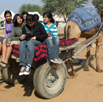 ADVENTURE AND LEISURE PROGRAMME