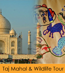 Taj Mahal Wildlife Tour
